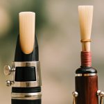 découvrez les principales différences entre une anche simple et une anche double, leurs utilisations et avantages pour mieux choisir votre instrument à vent.